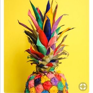 Meet your Posher, Kay